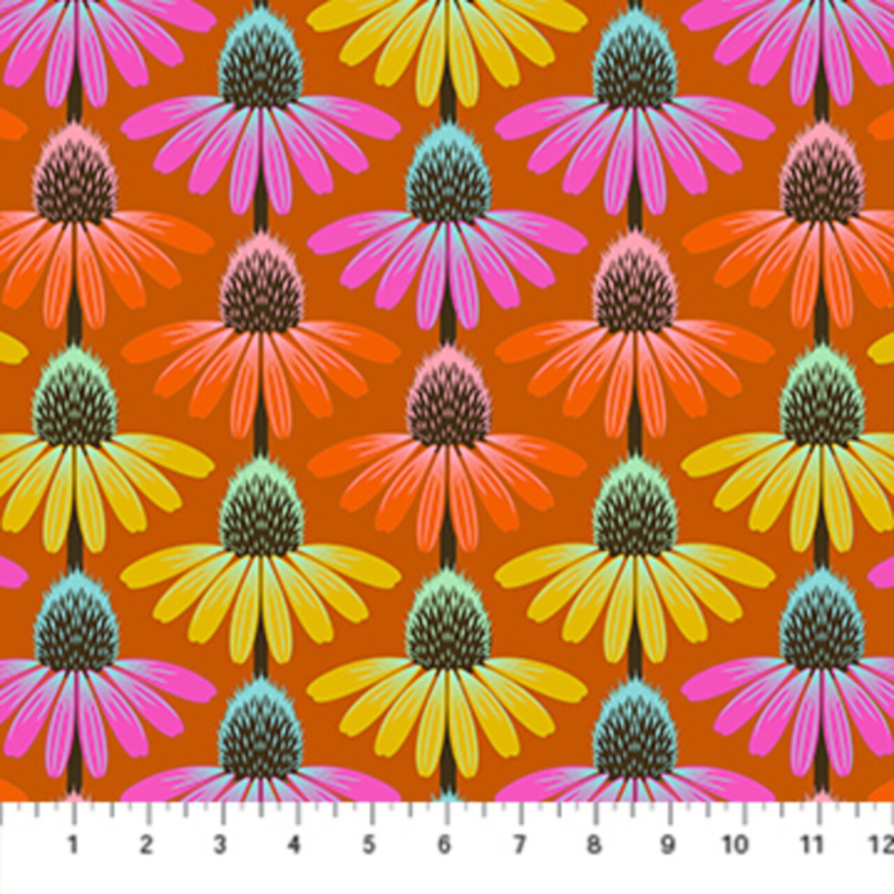 Echinacea Rhythm in Fire (amt136-79v) | Perennial Borders | Anna Maria | Northcott